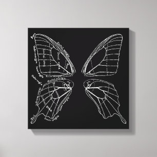 Toile Anatomie d'un diagramme de cru d'aile de papillon