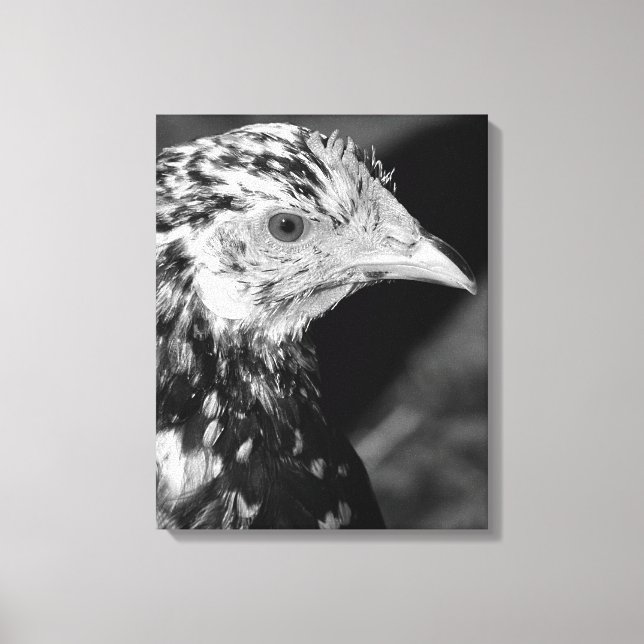 Toile Ancona Hen (Recto)