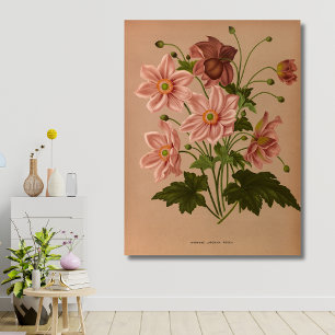 Toile Anemone Japonica Rosea Exquise Vintage Botanique