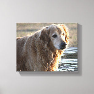 Toile Ange d'or (golden retriever)