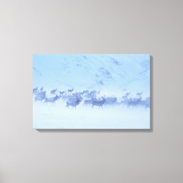 Toile Angleterre (Recto)