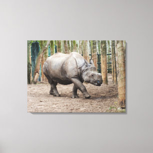 Toile Animal rhinocéros à une corne