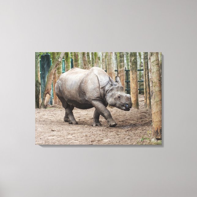 Toile Animal rhinocéros à une corne (Recto)