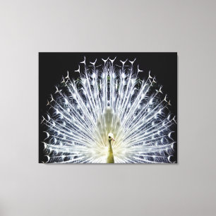 Toile Animalia blanc de Pavo de paon