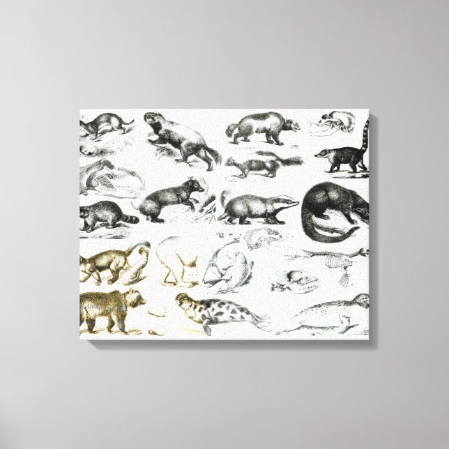 Toile Animaux carnivores (Recto)