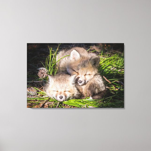Toile Animaux de bébés cutest | Baby Red Fox Kits Sleepi (Recto)