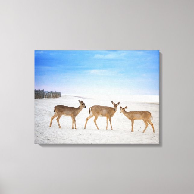Toile Animaux de bébés cutest | Cerfs sur la plage (Recto)