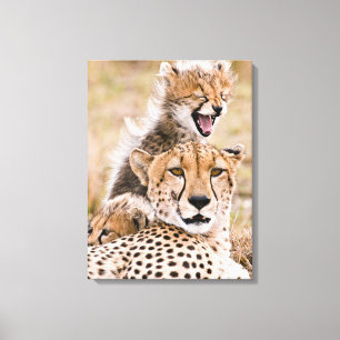 Toile Animaux de bébés cutest Cheetah Cat & Cub