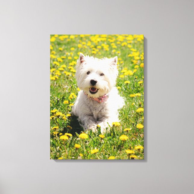 Toile Animaux de bébés cutest | Chien Westin en Dandelio (Recto)