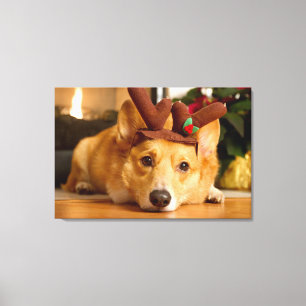 Toile Animaux de bébés cutest   Corgi Christmas Reindeer