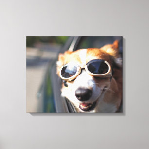 Toile Animaux de bébés cutest   Corgi lunettes dans la v
