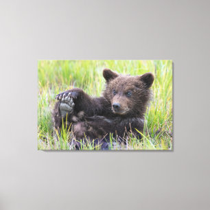Toile Animaux de bébés cutest Cute Brown Bear Cub Joue