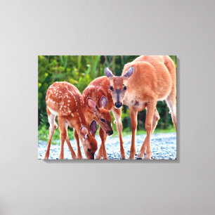 Toile Animaux de bébés cutest   Fawn with Babies