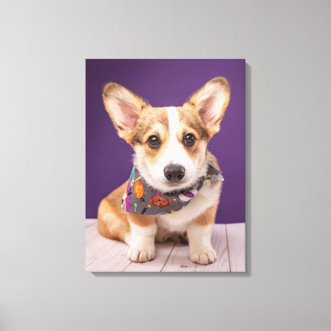 Toile Animaux de bébés cutest | Halloween Corgi (Recto)
