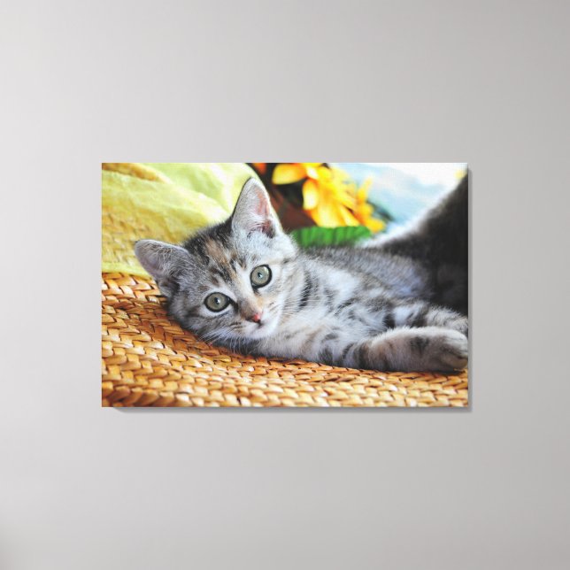 Toile Animaux de bébés cutest | Lounge Kitten (Recto)