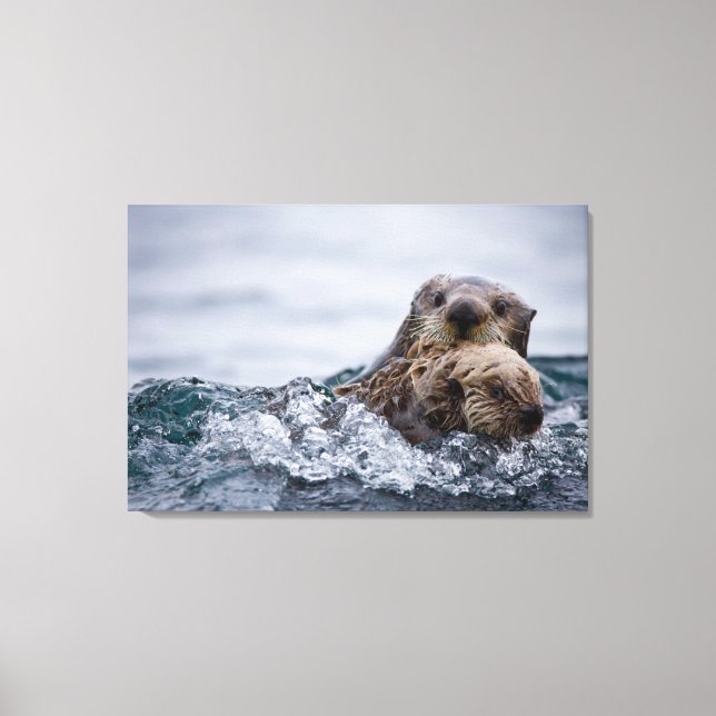 Toile Animaux de bébés cutest | Otter Baby & Mère (Recto)