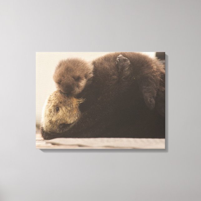 Toile Animaux de bébés cutest | Pompe Otter nouveau-né (Recto)