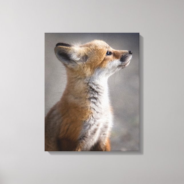 Toile Animaux de bébés cutest | Portrait Baby Fox (Recto)