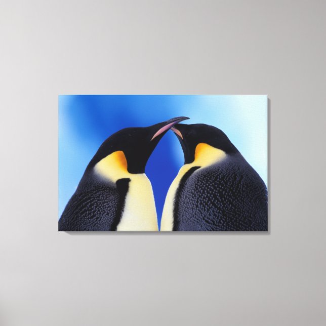 Toile Antarctique, Empereur Penguins (Recto)