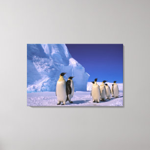 Toile Antarctique, Territoire antarctique australien, 7