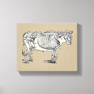 Toile Antique Cow Skeleton Bones