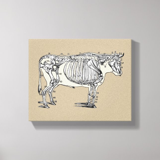 Toile Antique Cow Skeleton Bones (Recto)
