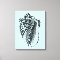 Aqua Conch Shell