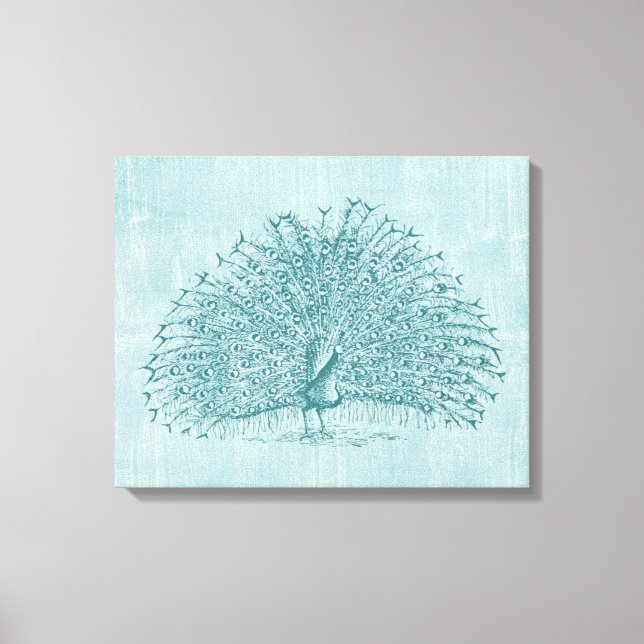 Toile Aqua Peacock (Recto)
