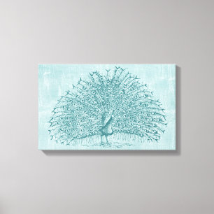 Toile Aqua Peacock