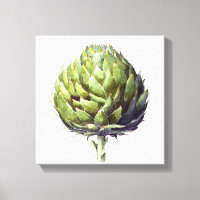 Aquarelle botanique d'Artichoke