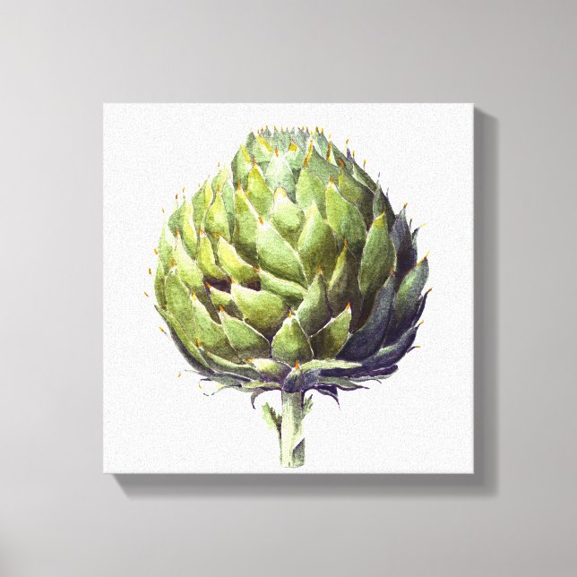 Toile Aquarelle botanique d'Artichoke (Recto)