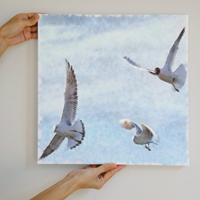 Toile Aquarelle de trois mouettes (Créateur téléchargé)