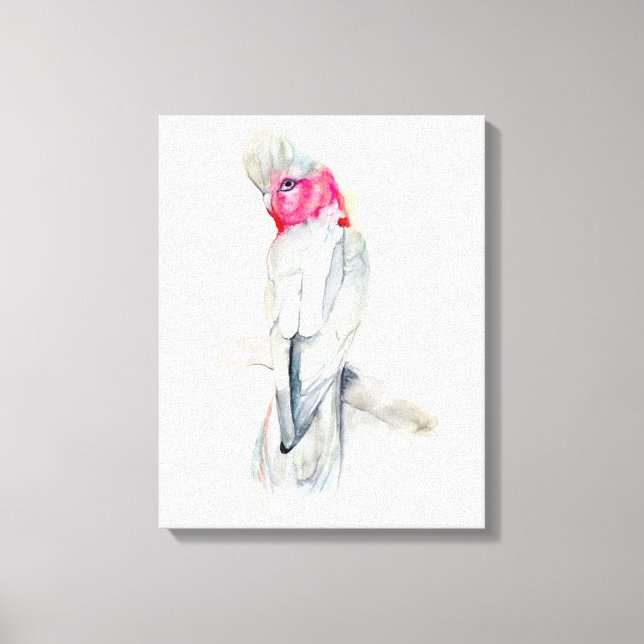 Toile Aquarelle Opera Cockatoo (Recto)