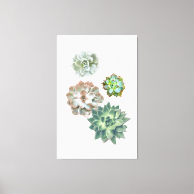Toile Aquarelle Plante Succulente peinture murale (Recto)