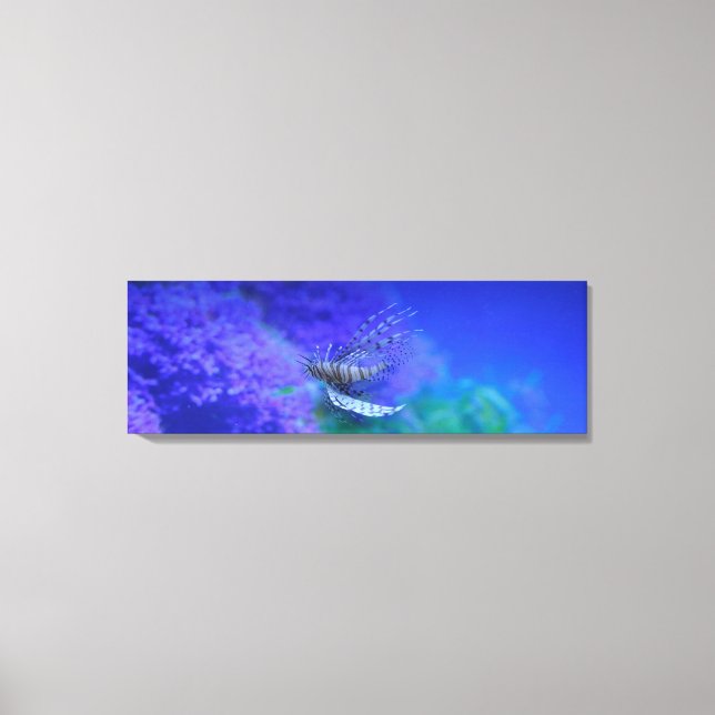 Toile Aquarium Poisson poisson violet Pterois Zebrafish (Recto)