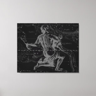 Toile Aquarius Zodiac Constellation Hevelius 1690