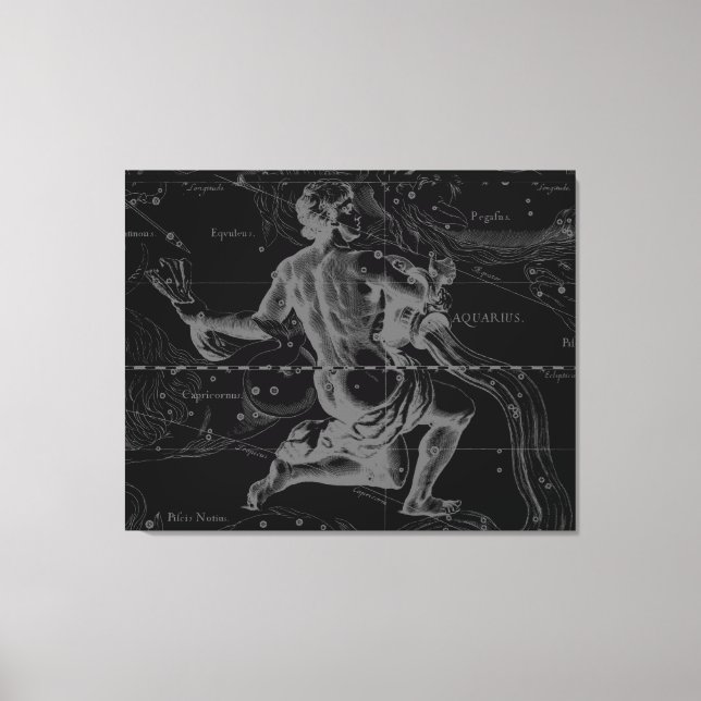 Toile Aquarius Zodiac Constellation Hevelius 1690 (Recto)