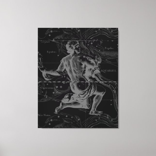 Toile Aquarius Zodiac Constellation Hevelius 1690 (Recto)