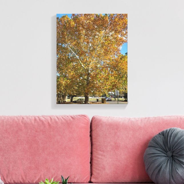 Toile Arbre à l'heure dorée (Insitu(Salon))