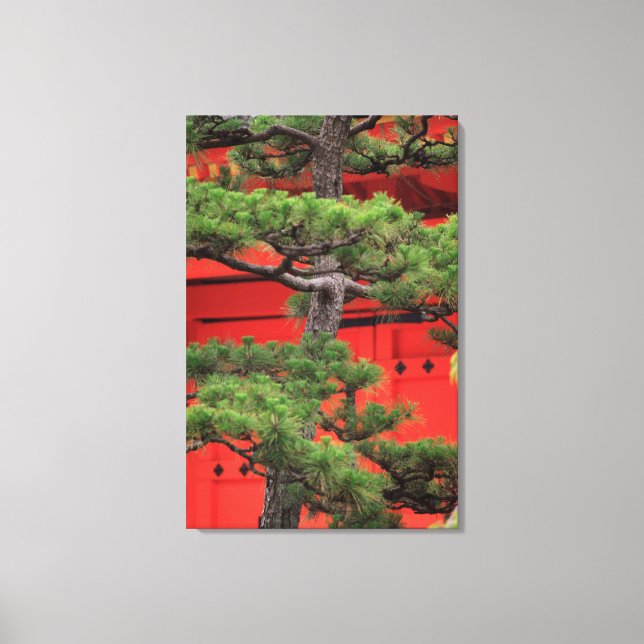 Toile Arbre à pins bonsai (Recto)