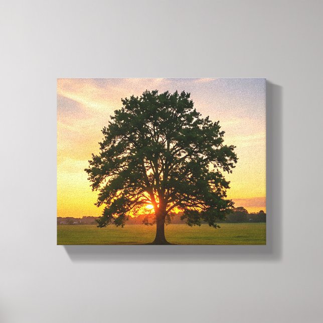 Toile arbre au coucher du soleil (Recto)