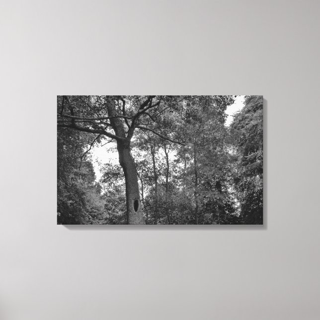 Toile Arbre avec un mystérieux trou II (Recto)