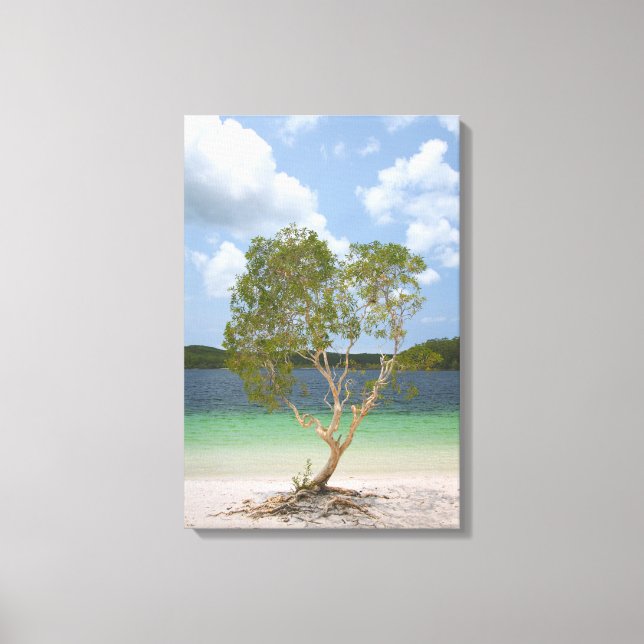 Toile ARBRE BILLABONG 16x24 (Recto)