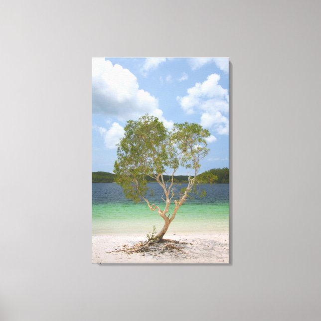 Toile ARBRE BILLABONG 24x36 (Recto)