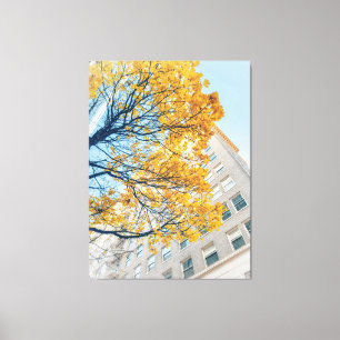 Toile Arbre d'automne et façade du bâtiment