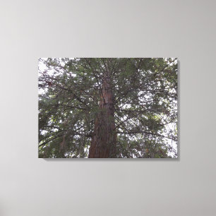 Toile Arbre de taille