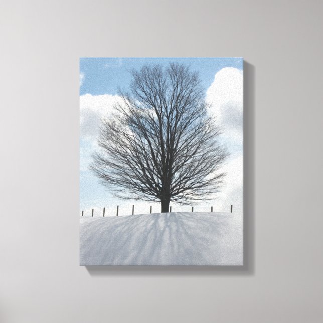 Toile Arbre d'hiver dans le Michigan Photo Canvas Art Im (Recto)