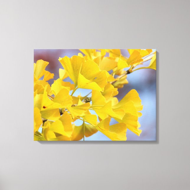 Toile Arbre Ginkgo Feuille jaune (Recto)