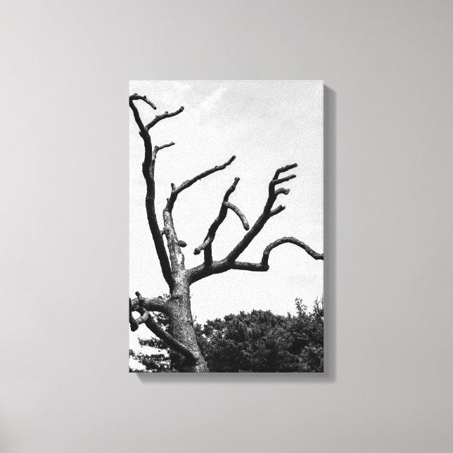 Toile arbre libre (Recto)