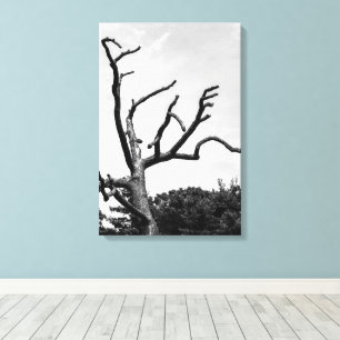 Toile arbre libre